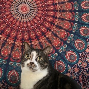 Meet your Posher, Rylee